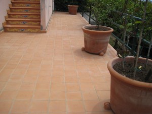 terrazza cotto 20x20